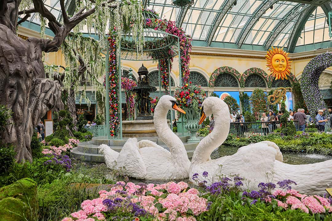 bellagio conservatory schedule 2023