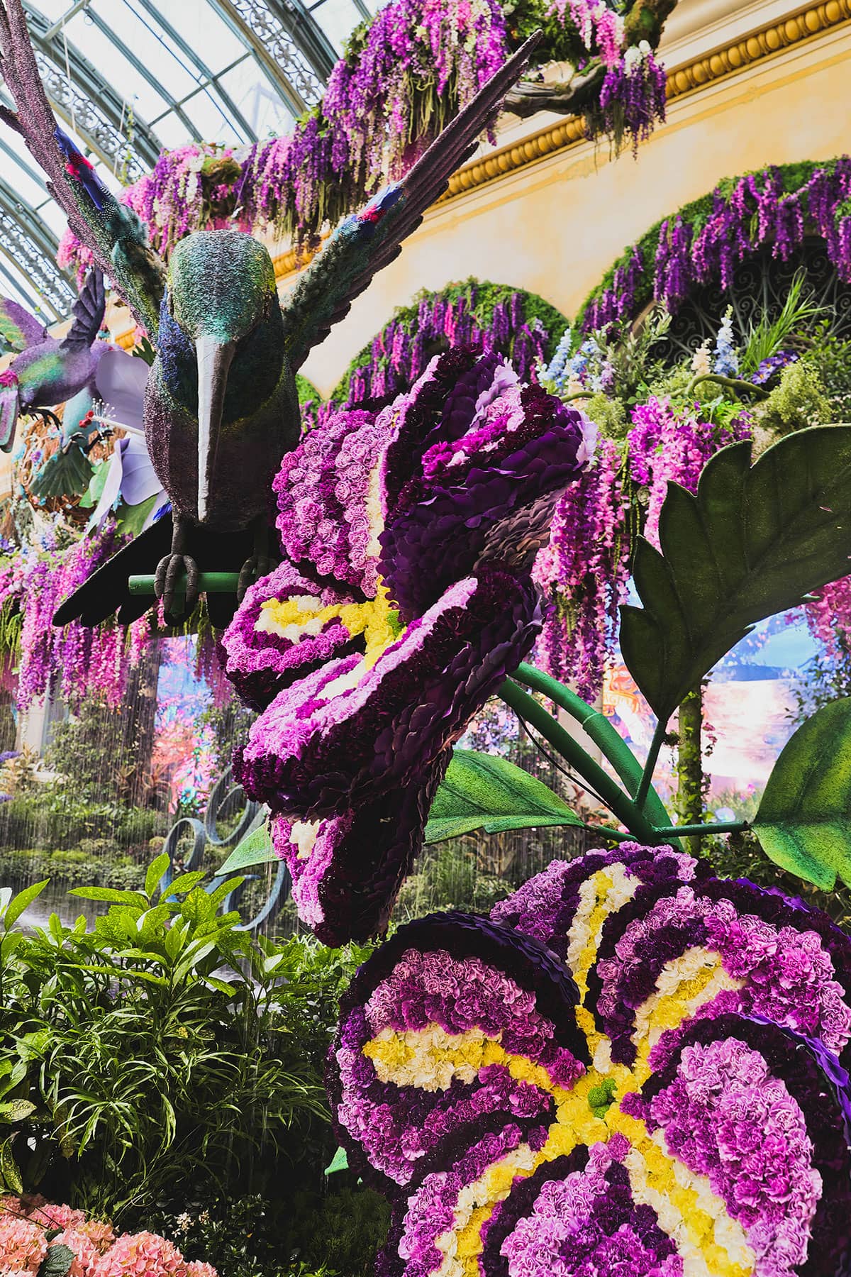 bellagio hummingbird