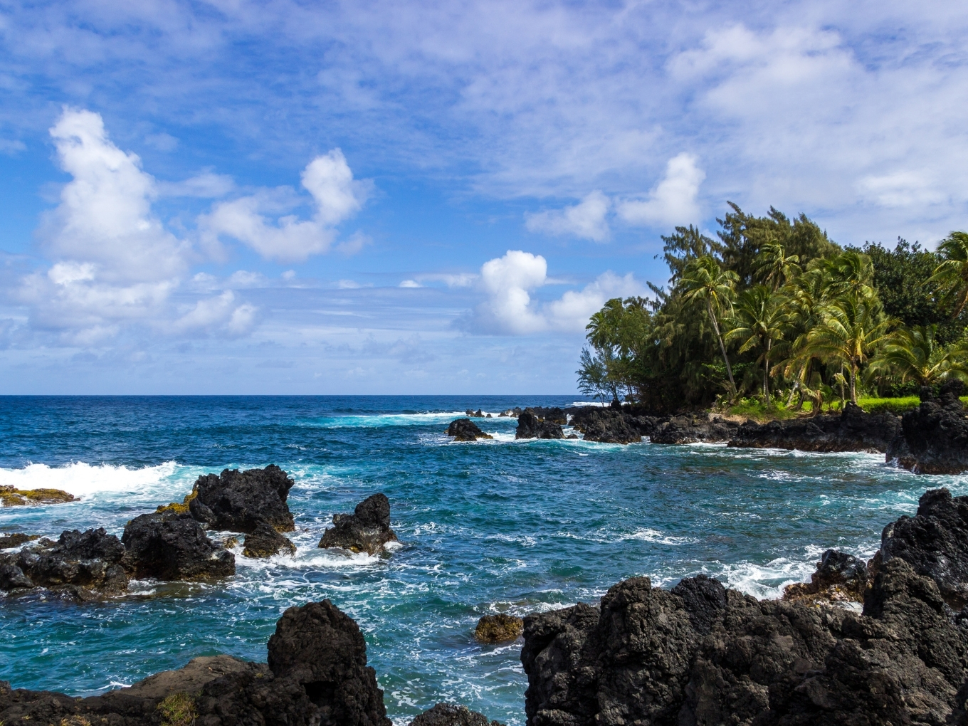 Kenae Peninsula | Road To Hana