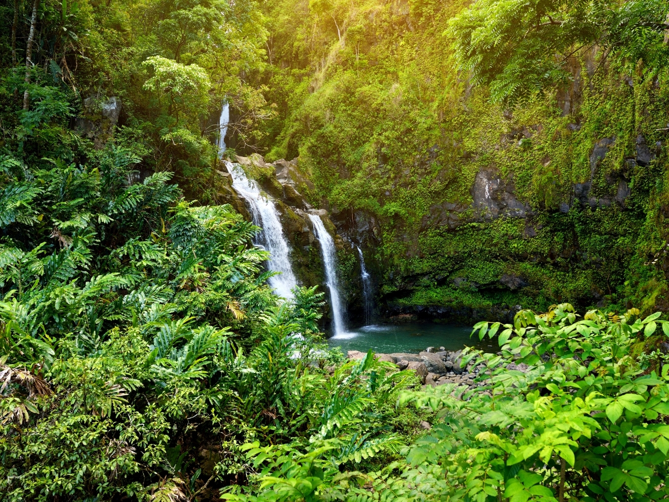 Upper Waikani Falls | Road To Hana