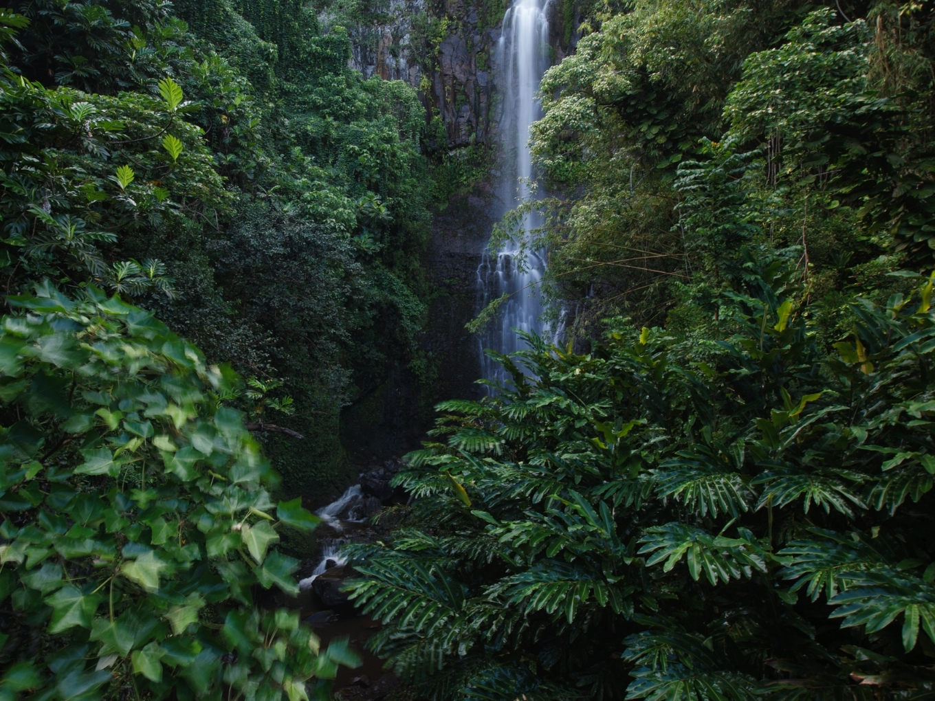 Wailua Falls | The Road To Hana