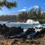 The Ultimate Guide To Road To Hana