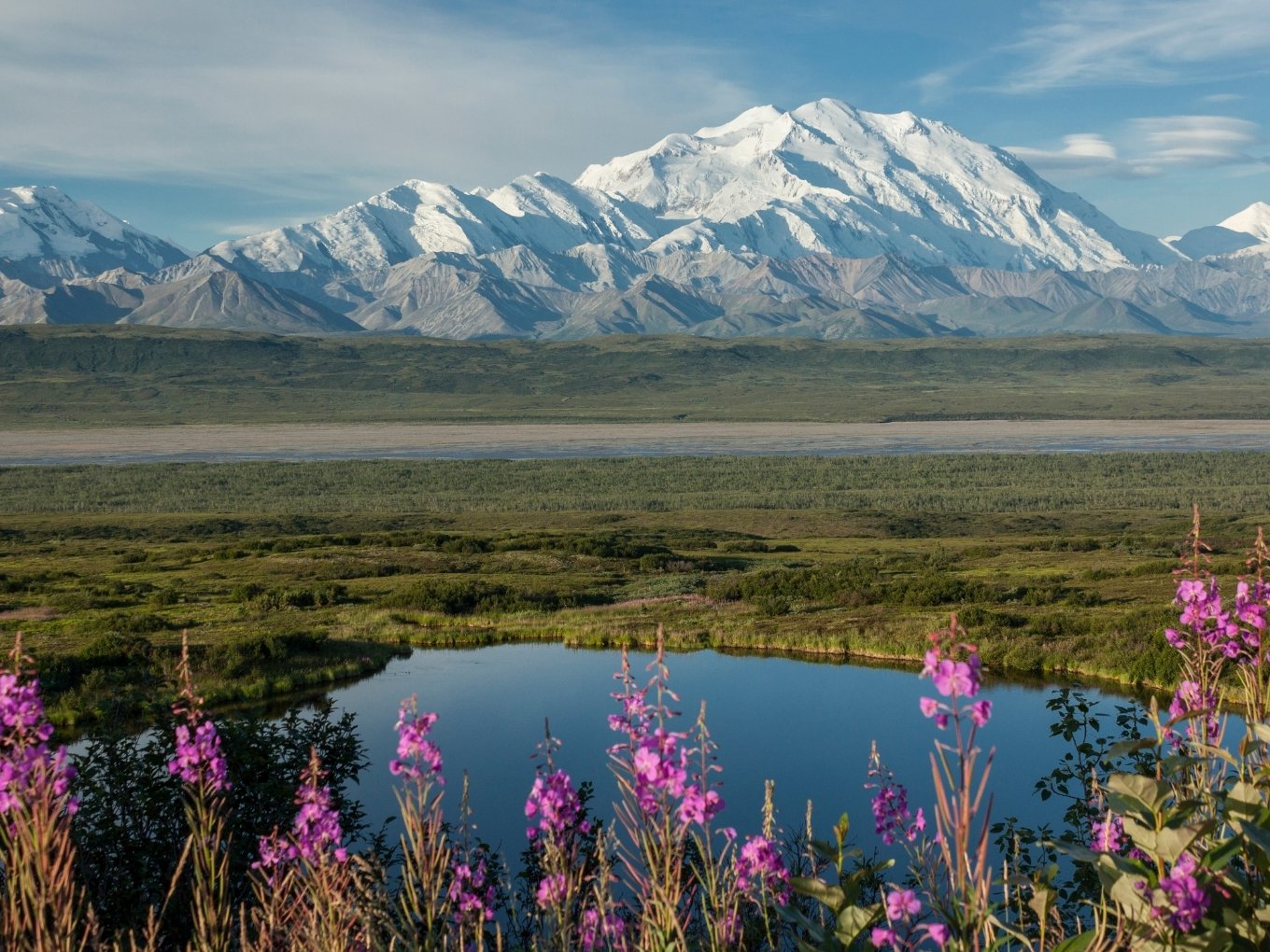 Things To Do In Denali National Park