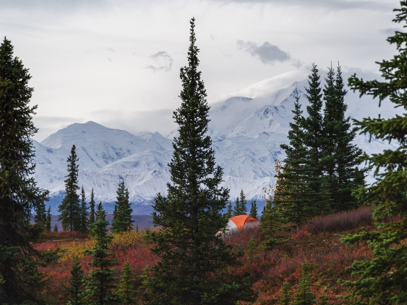 Lodging & Dining In Denali National Park