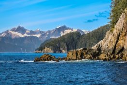 Planning Your Trip To Kenai Fjords National Park