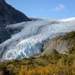 The Ultimate Guide To Kenai Fjords National Park