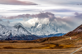 Denali National Park Travel Guide | Denali National Park Travel Guide