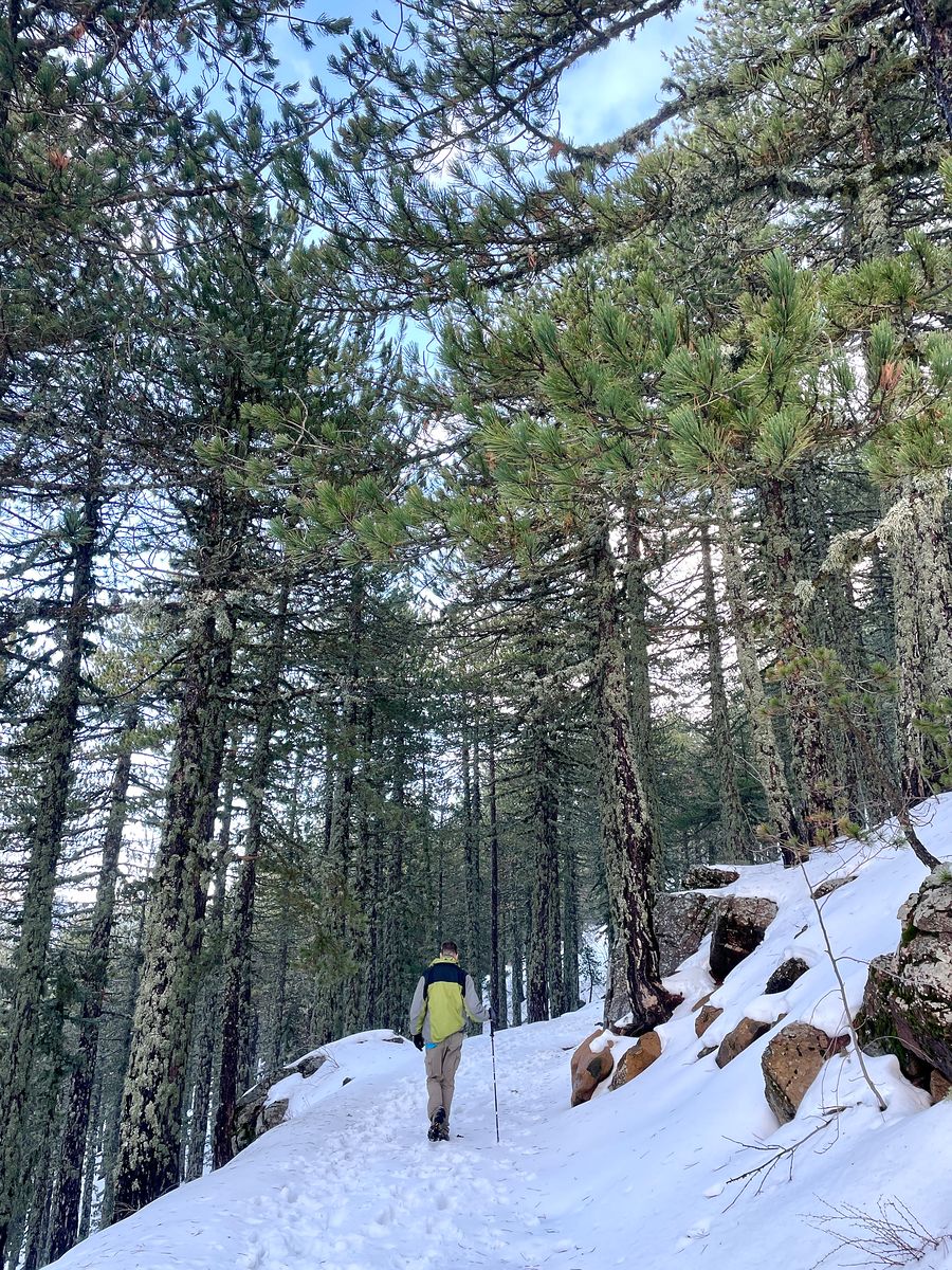 Hiking in Cyprus, Troodos Mountains Atalante Hiking Trail