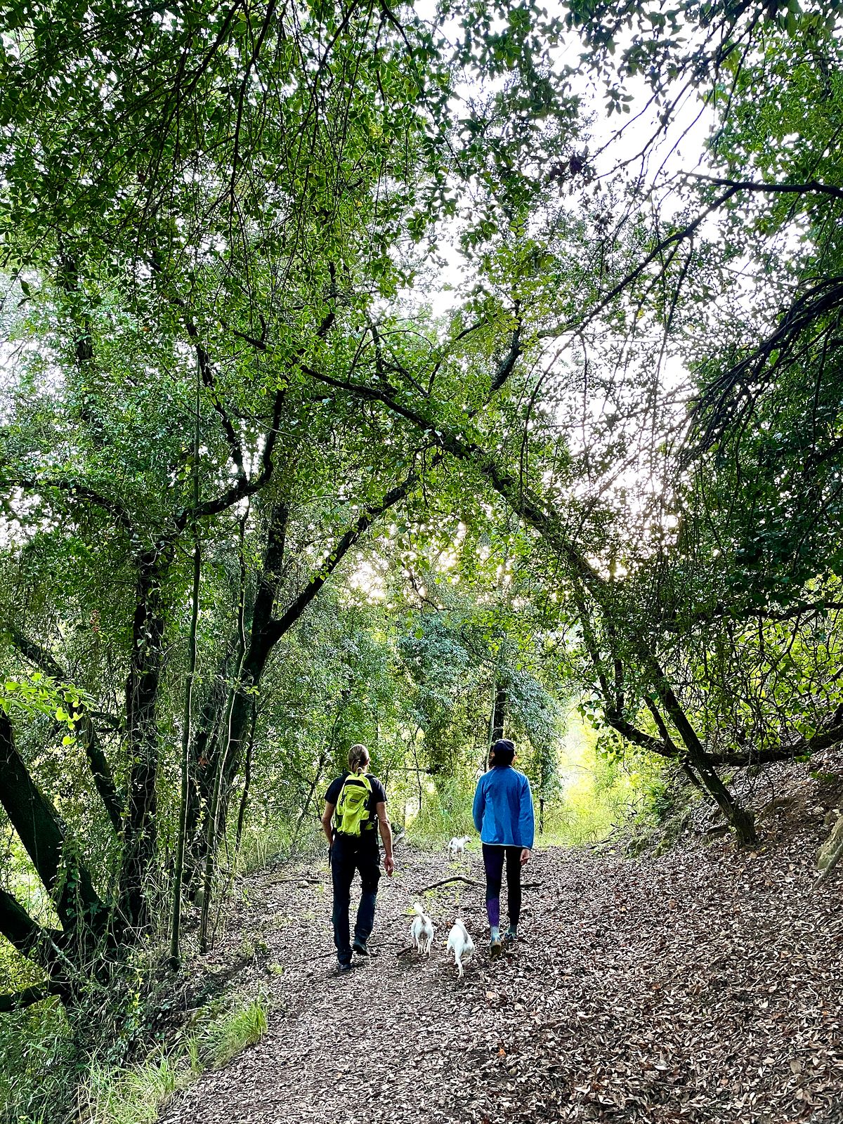 HIking in Tevere-Farfa Natural Reserve, Lazio