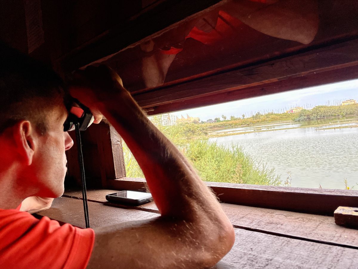 Birdwatching at the Lipu Oasis in Ostia, Lazio